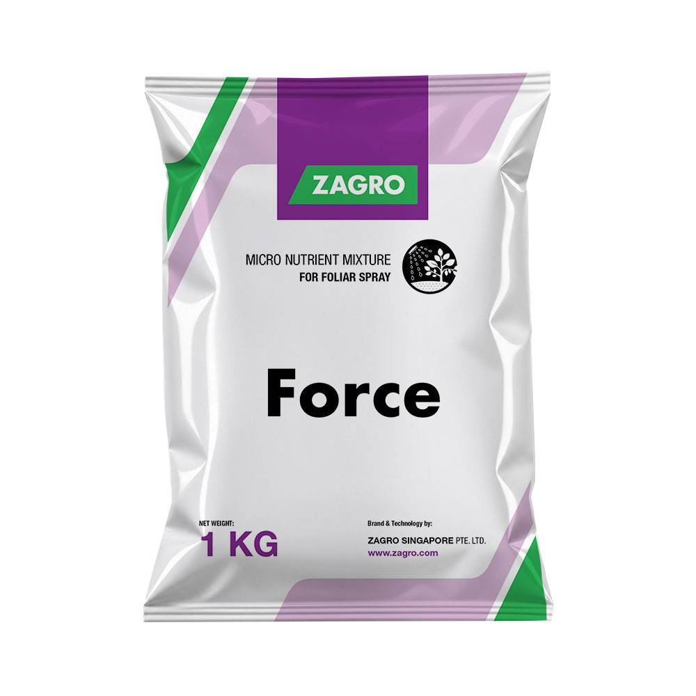 Force